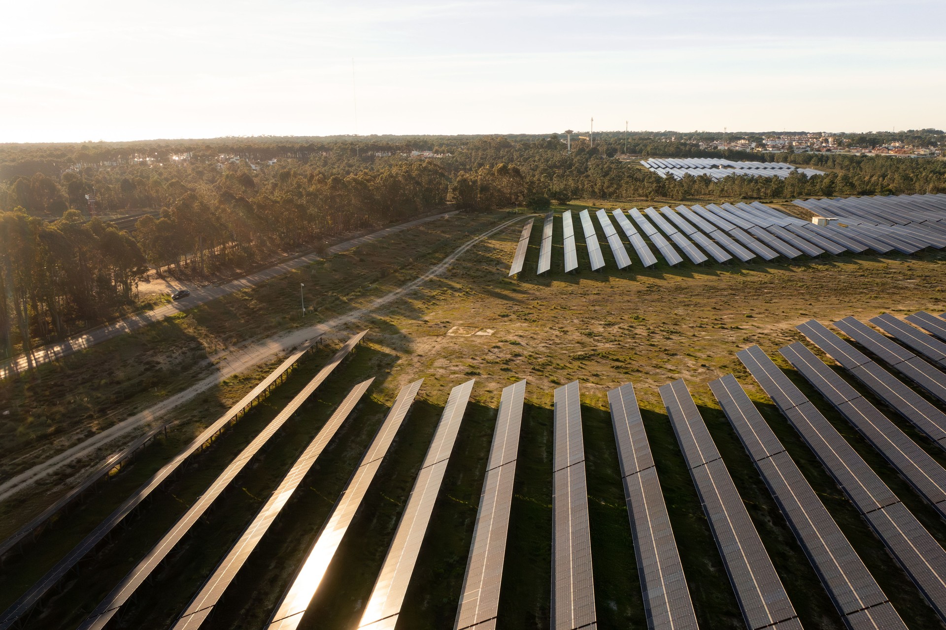 Gran granja solar con hileras de paneles solares instalados en el campo